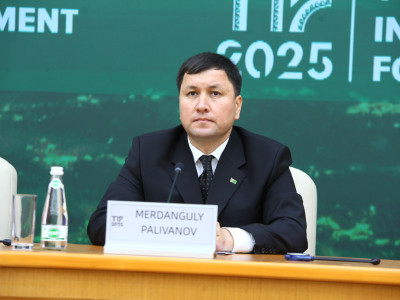 Media photo